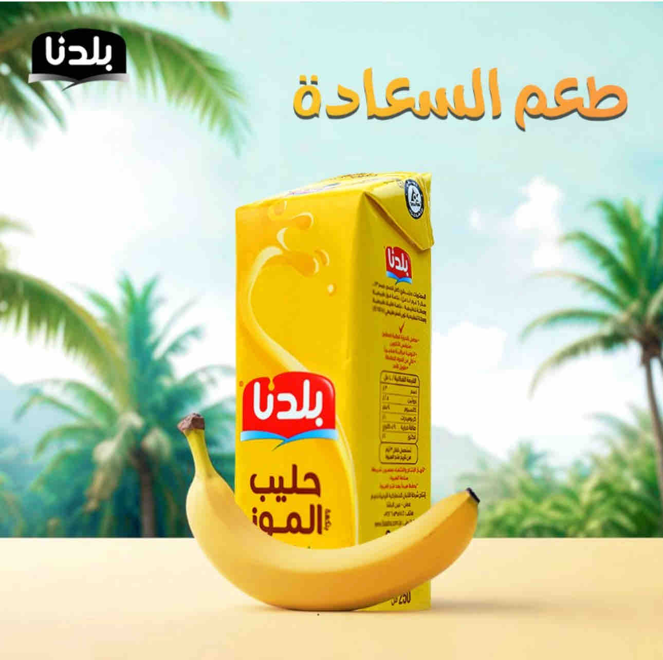 Baladna Banana Milk 250ml*24 product image